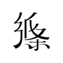 纸条APP 官方版v6.2.0