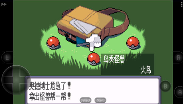 口袋妖怪始源蓝宝石中文版