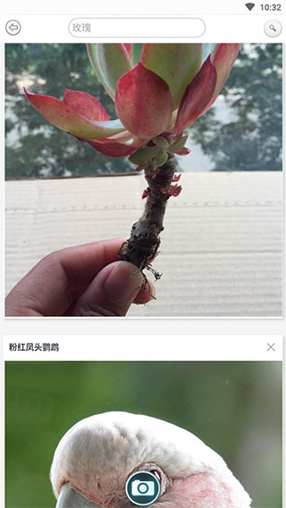 万物识别APP