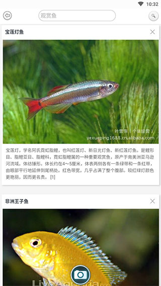 万物识别APP