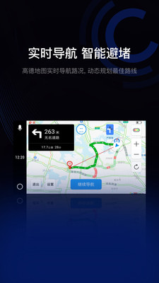 驾驶伴侣手机版
