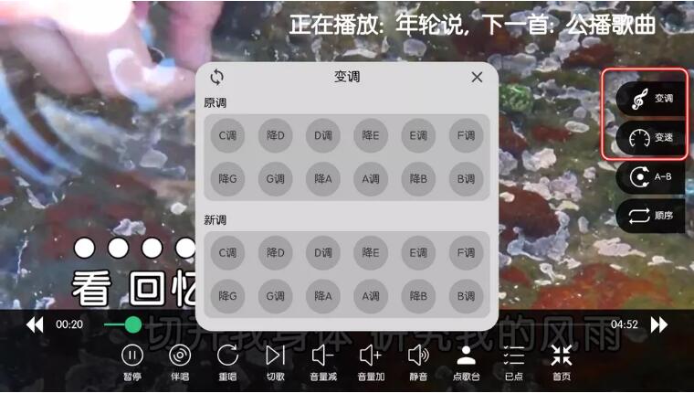 IKTV电视K歌软件免费版