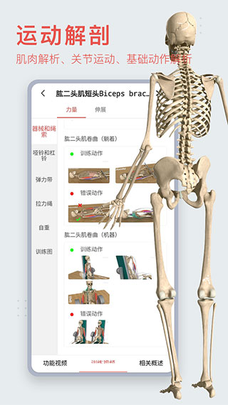 3Dbody解剖APP(支持电脑端同步)