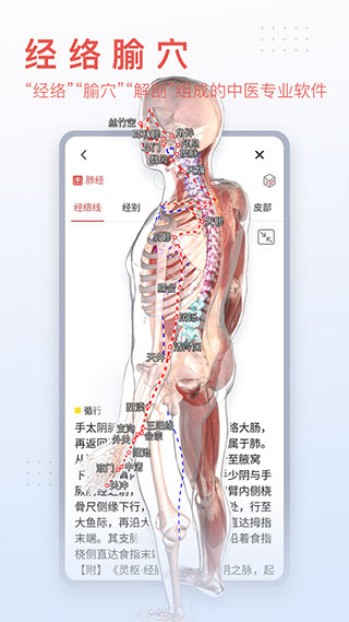 3Dbody解剖APP(支持电脑端同步)