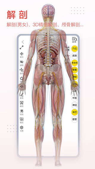 3Dbody解剖APP(支持电脑端同步)