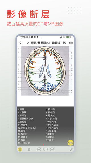 3Dbody解剖APP(支持电脑端同步)