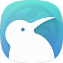 kiwibrowser浏览器APP v124.0.6327.4安卓版