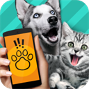 Pet Translator动物语言翻译器 安卓版V1.1