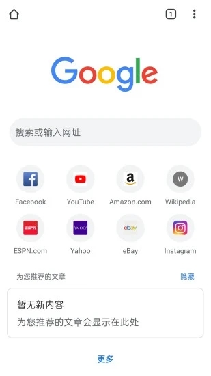 谷歌Chrome浏览器手机版