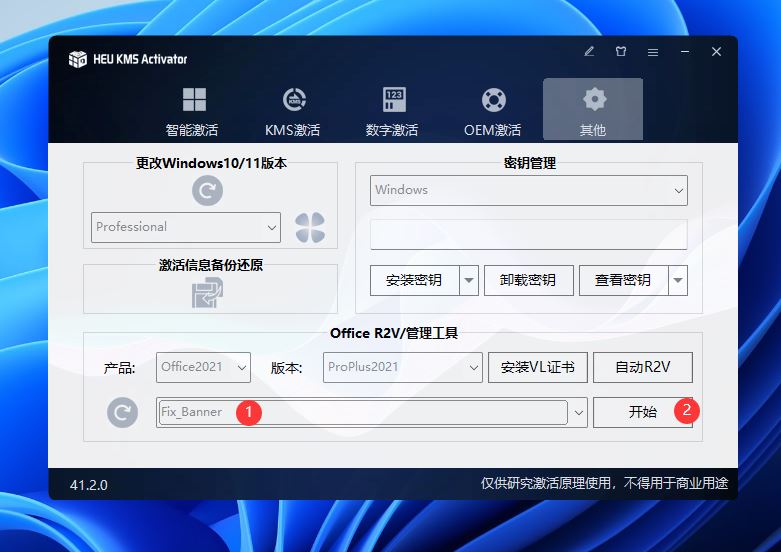 Office2024专业增强版