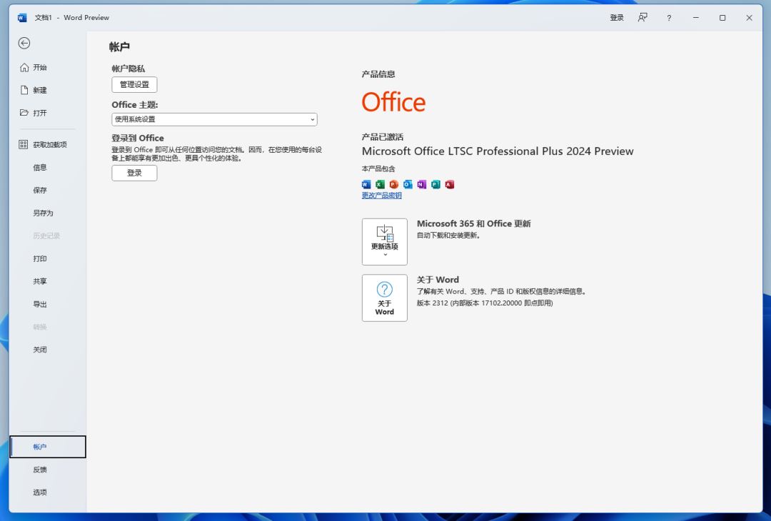 Office2024专业增强版