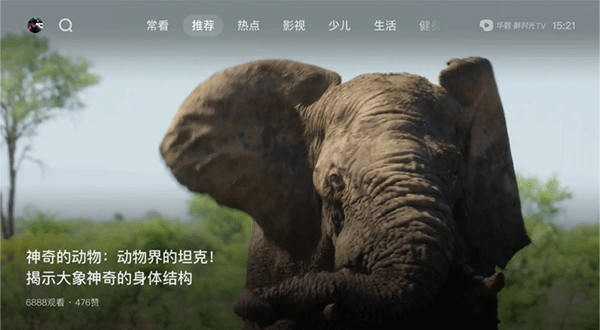 鲜时光TV APP(西瓜视频电视版)