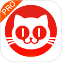 猫眼专业版(实时票房) 安卓版v8.8.0
