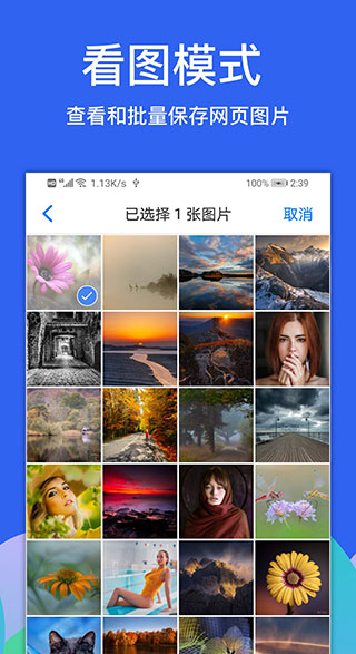 Alook浏览器安卓版