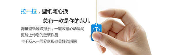 小鸟壁纸官方版