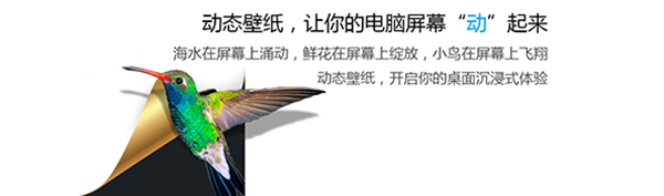 小鸟壁纸官方版