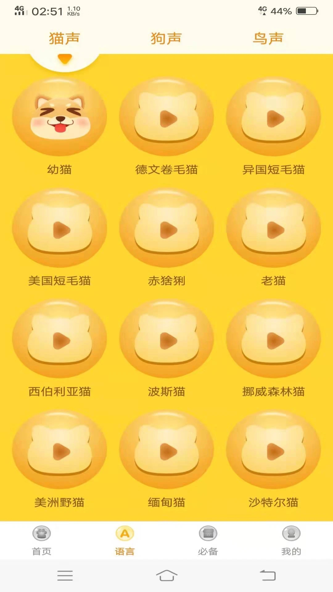 宠物翻译器APP