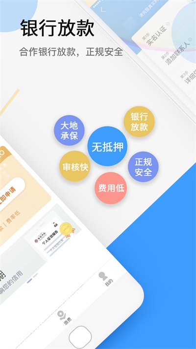 大地时贷险APP