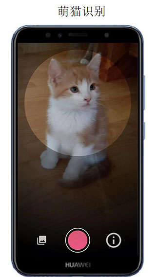 万物识别APP