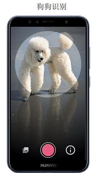 万物识别APP