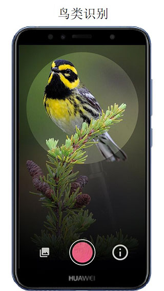 万物识别APP