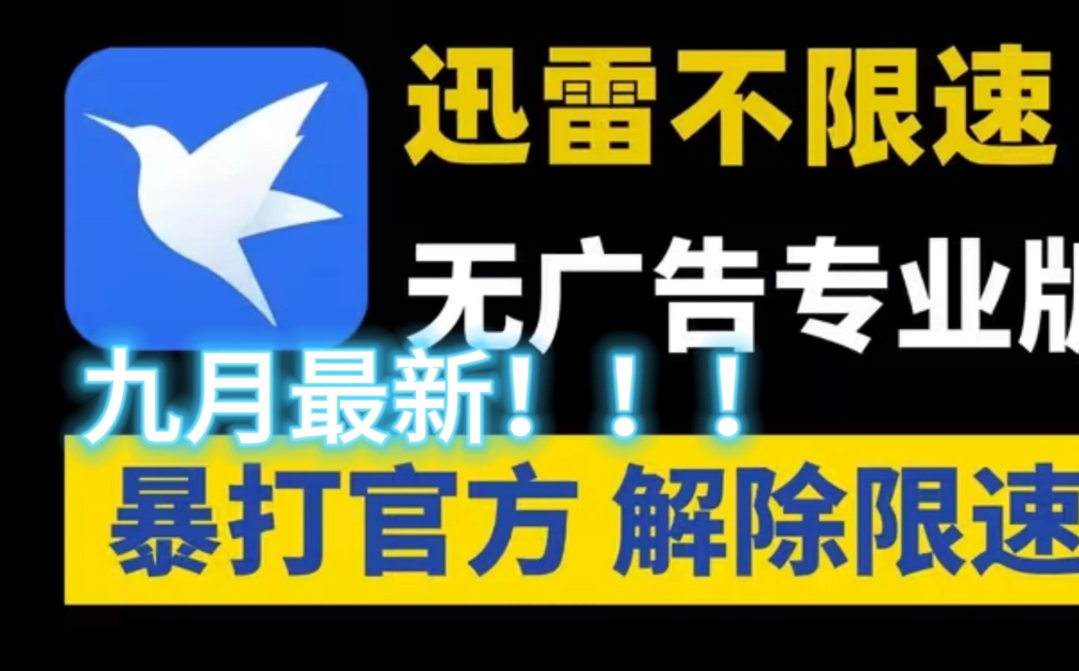迅雷精简版永不升级