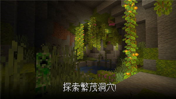 Minecraft我的世界