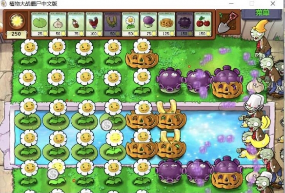植物大战僵尸电脑版