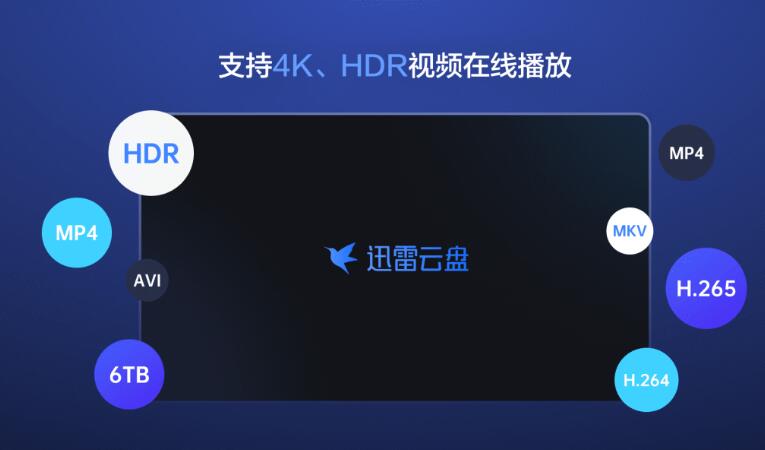 迅雷TV版(迅雷云盘TV版)