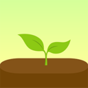 Forest专注森林APP 安卓版v4.82.0