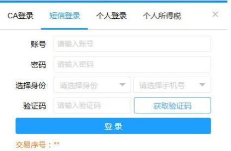 国家税务总局河南省电子税务局2025
