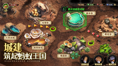 小小蚁国手游