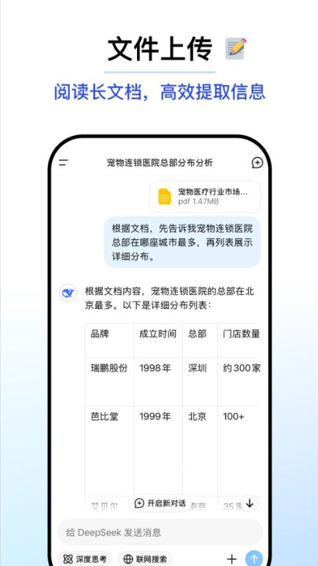 DeepSeek APP