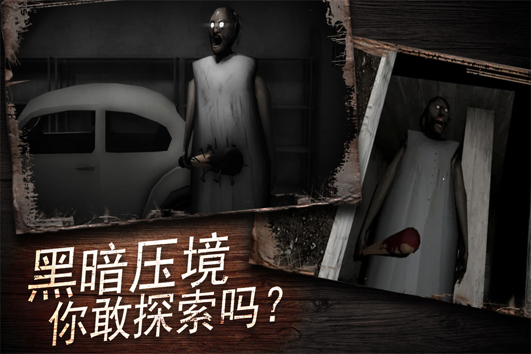 奶奶别追我手机版