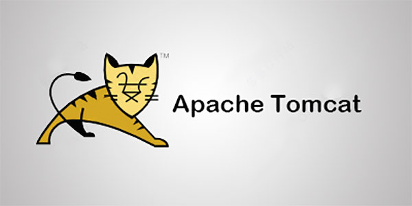 Apache Tomcat 10(64/32位)
