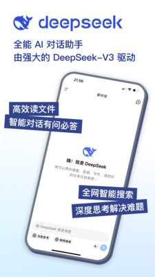 DeepSeek APP