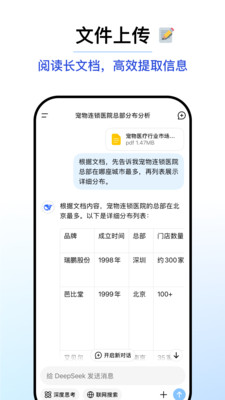 DeepSeek APP