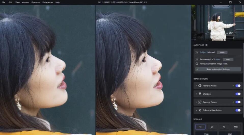 Topaz Photo AI中文版