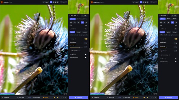Topaz Gigapixel AI
