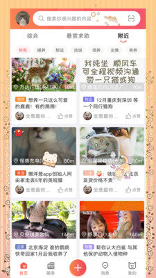 懒洋葱(宠物服务)