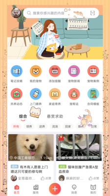 懒洋葱(宠物服务)