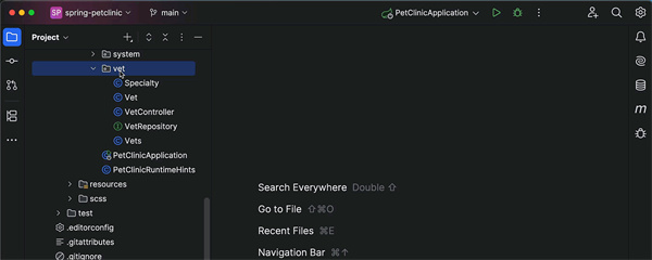 IntelliJ IDEA 2025破解版