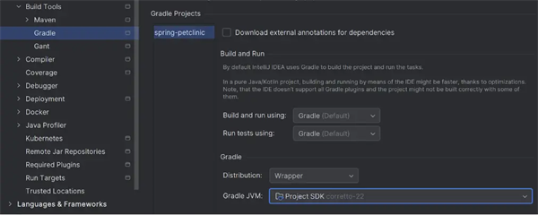 IntelliJ IDEA 2025破解版