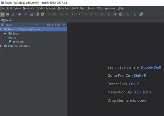 IntelliJ IDEA 2025破解版