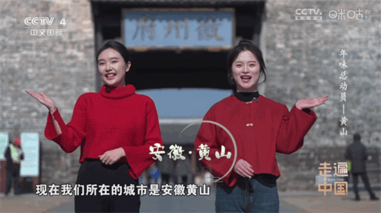 悠悠电视app