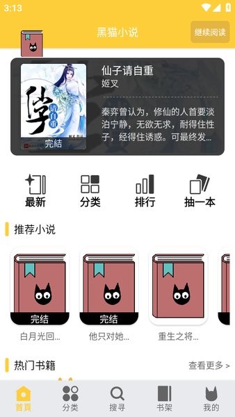 黑猫小说去广告版