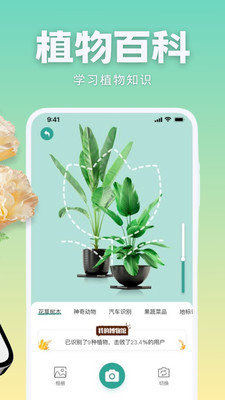 识花君拍照识别植物app