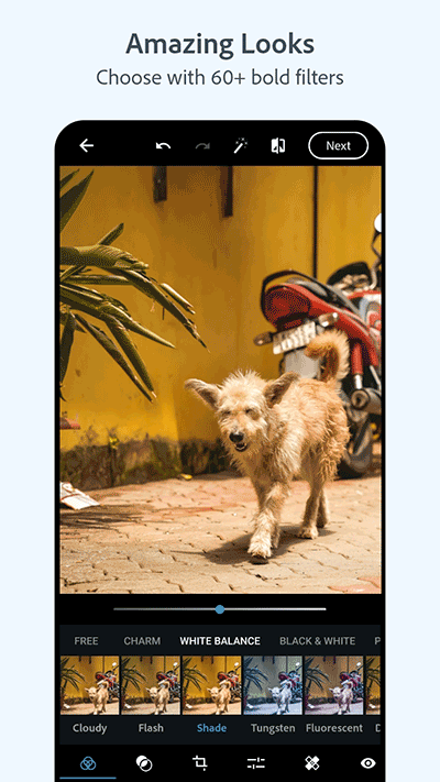 Photoshop(PS)