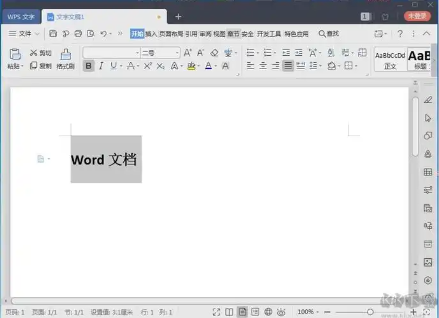 Word2021破解版