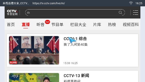 飞视浏览器领先版TV版